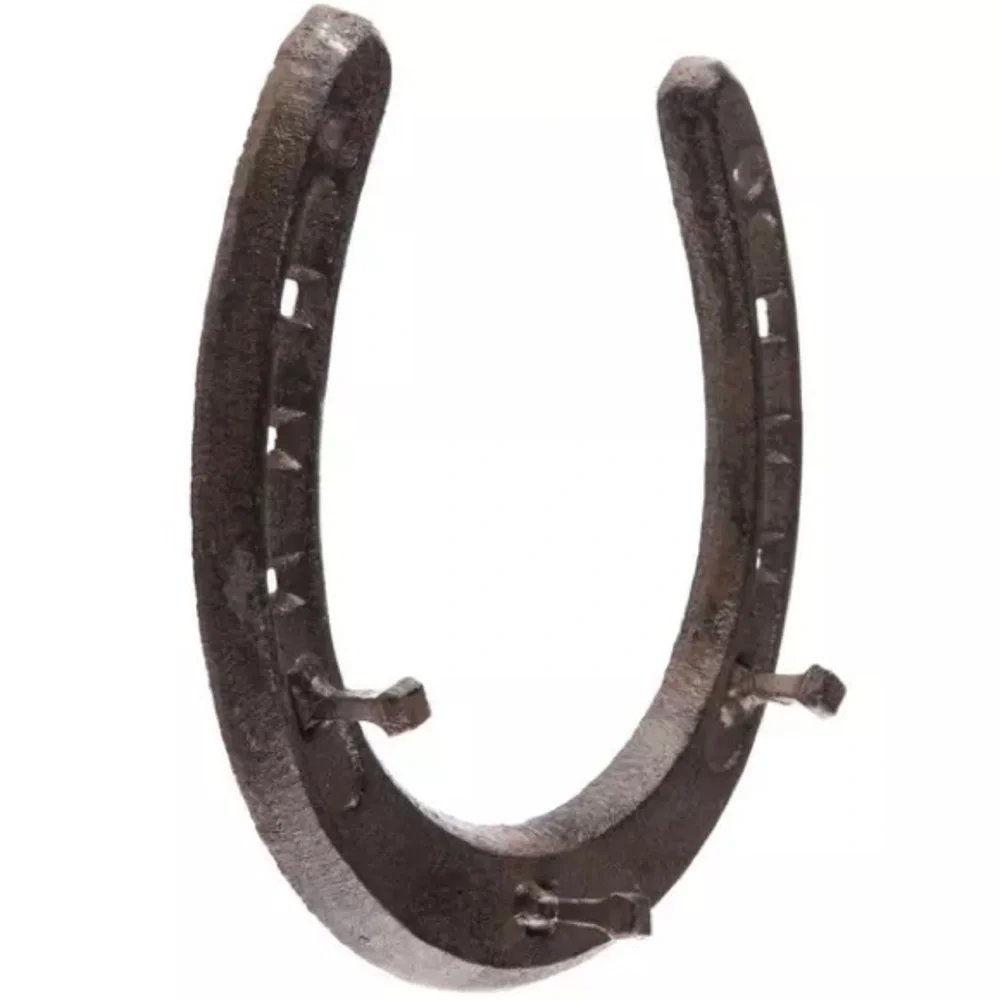 (2) Horseshoe Metal Wall Decor With Hooks
